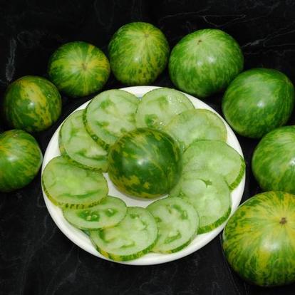 solanum-lycopersicum-green-zebra Solanum lycopersicum 'Green Zebra' plant