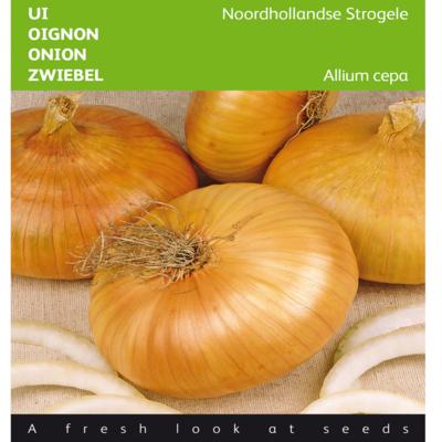 allium-cepa-noordhollandse-strogele