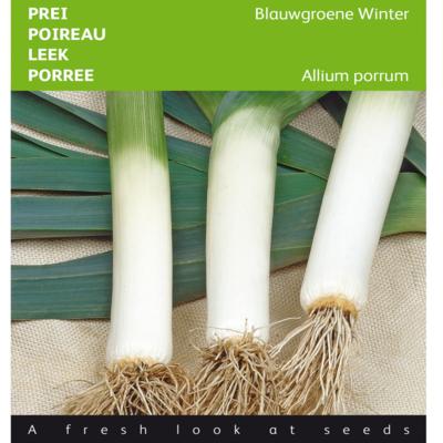 allium-porrum-blauwgroene-winter