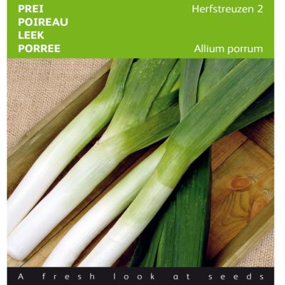 allium-porrum-herfstreuzen-2-olifant