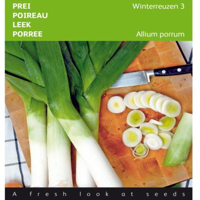 allium-porrum-winterreuzen-3