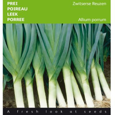 allium-porrum-zwitserse-reuzen