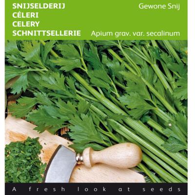 apium-graveolens-gewone-snij