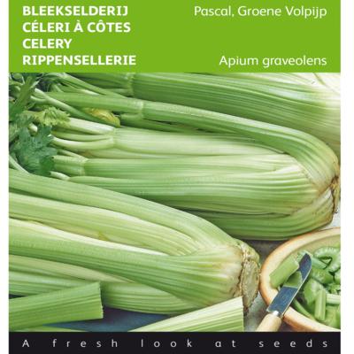 apium-graveolens-pascal