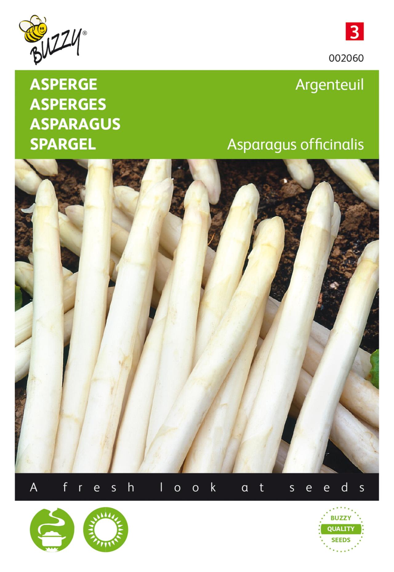 Asparagus officinalis 'Argenteuil' plant