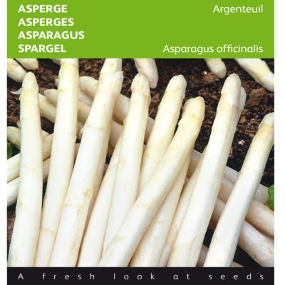 asparagus-officinalis-argenteuil