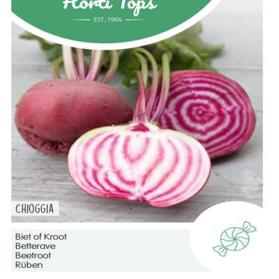 beta-vulgaris-chioggia