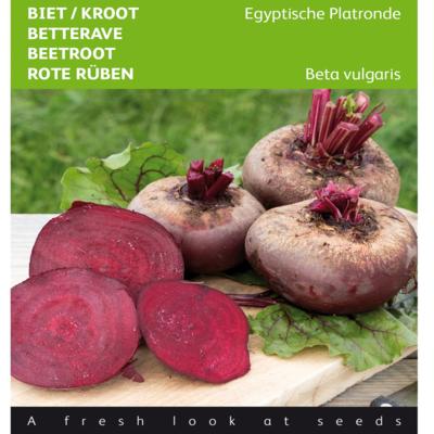 beta-vulgaris-egyptische-platronde