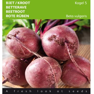 beta-vulgaris-kogel-5-loki