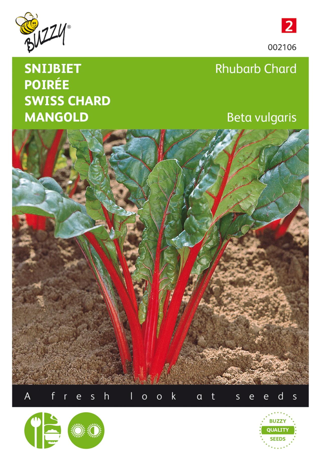 Beta vulgaris 'Red Chard' plant