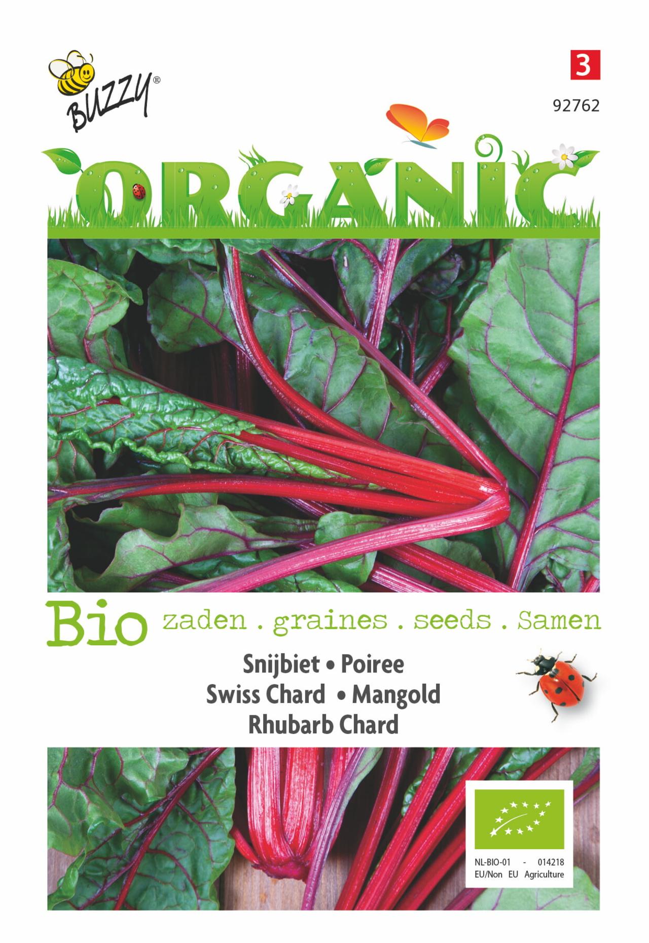 Beta vulgaris 'Rhubard Chard' (BIO) plant