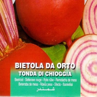 beta-vulgaris-tonda-di-chioggia