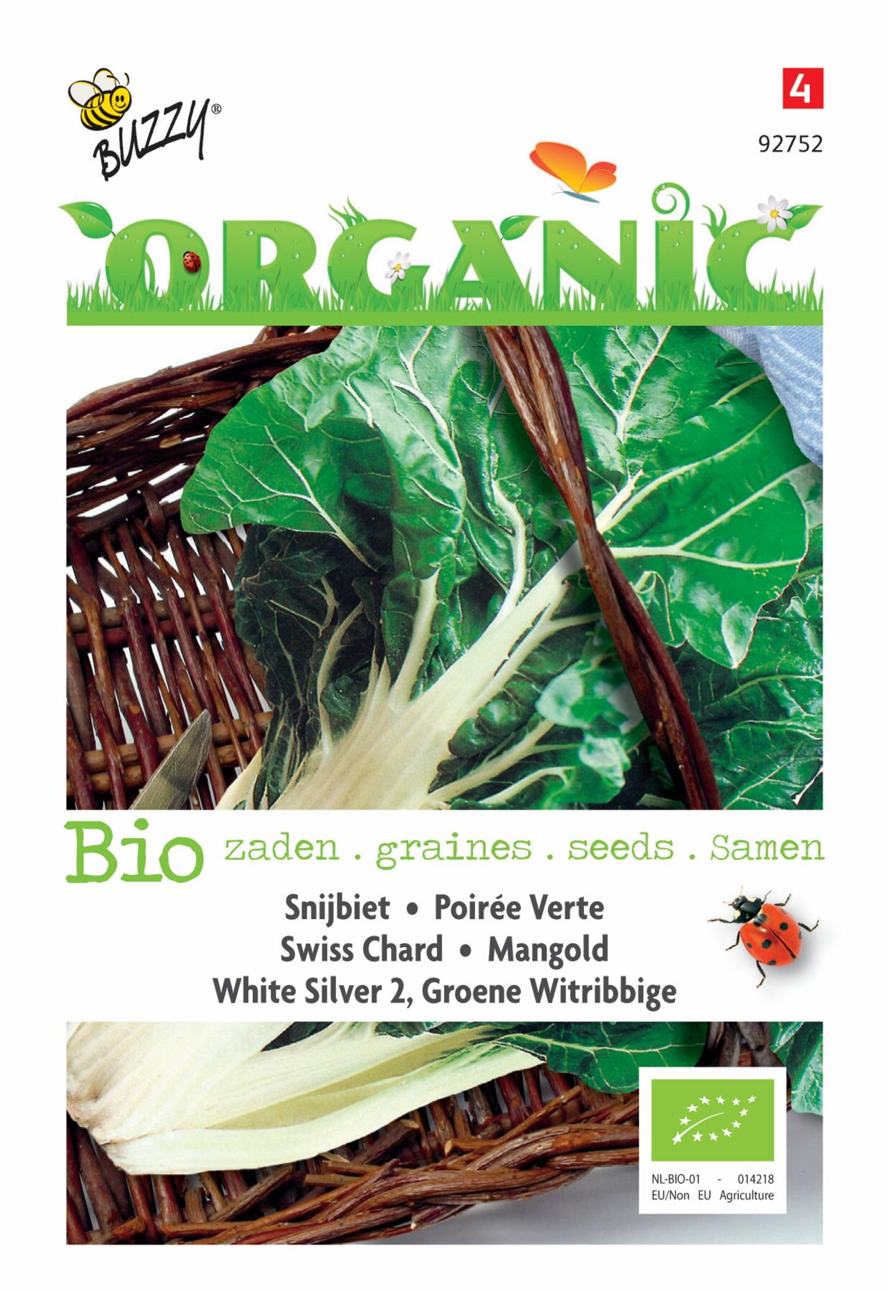 Beta vulgaris 'White Silver 2' (BIO) plant