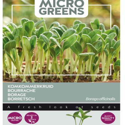 borago-officinalis-microgreens
