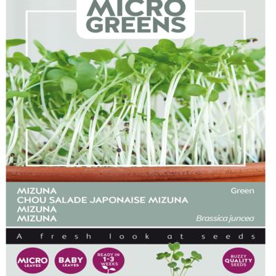 brassica-juncea-var-japonica-green-microgreens