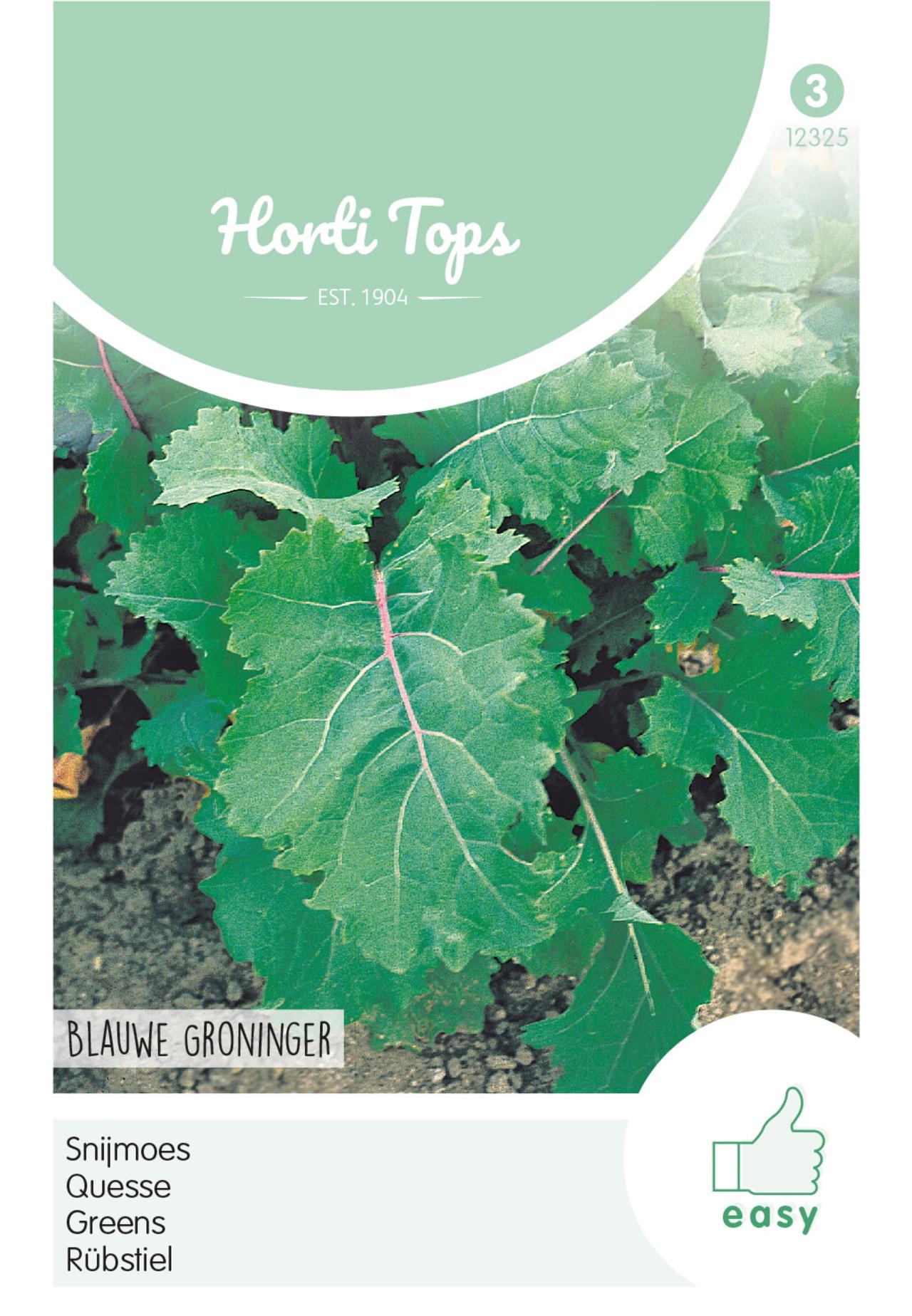 Brassica napus 'Blauwe Groninger' plant