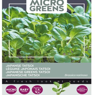 brassica-narinosa-microgreens