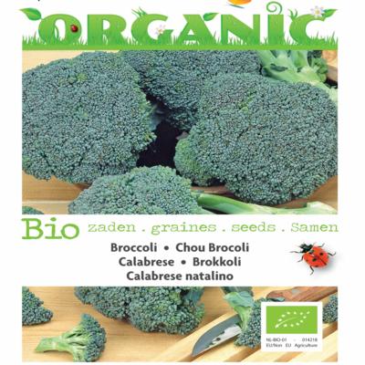 brassica-oleracea-calabrese-natalino-bio