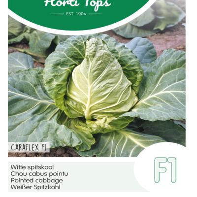 brassica-oleracea-caraflex-f1