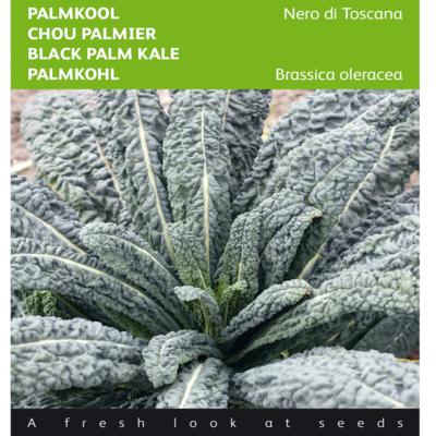 brassica-oleracea-convar-acephala-nero-di-toscana