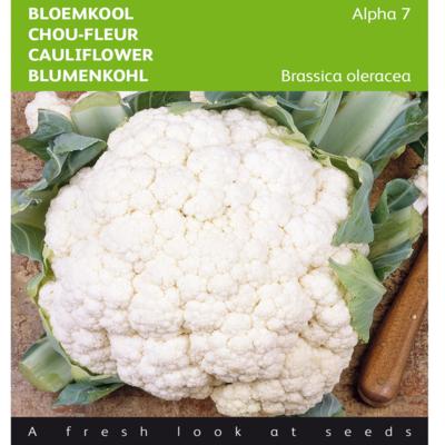 brassica-oleracea-convar-botrytis-var-botrytis-alpha-7