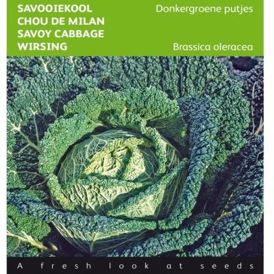 brassica-oleracea-donkergroene-putjes