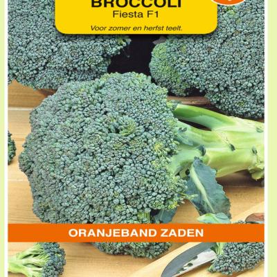 brassica-oleracea-fiesta-f1
