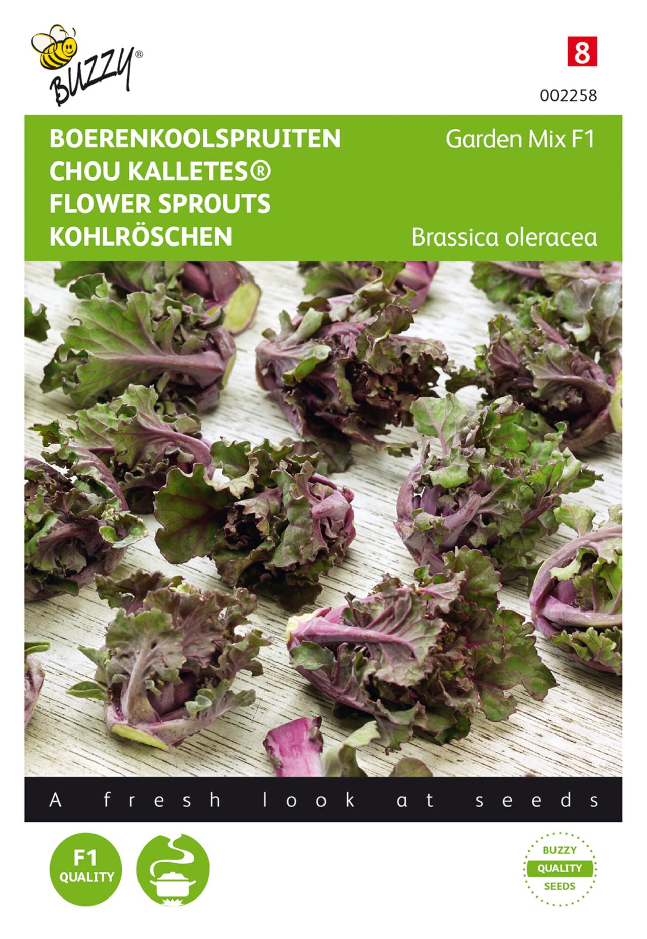 Brassica oleracea 'Kalettes® Garden Mix F1' plant