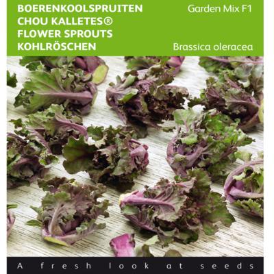 brassica-oleracea-kalettes-garden-mix-f1