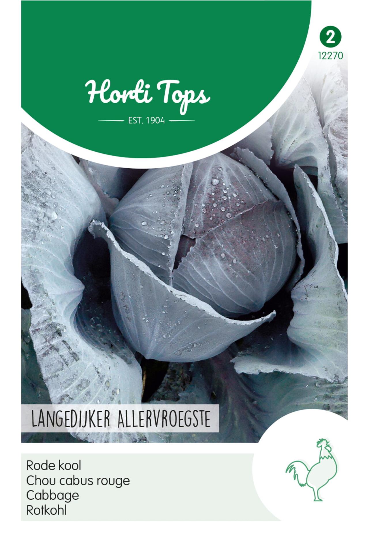 Brassica oleracea 'Langedijker Allervroegste' plant