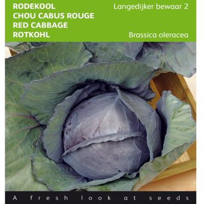 brassica-oleracea-langedijker-bewaar-2