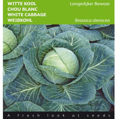 brassica-oleracea-langedijker