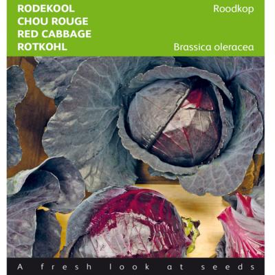 brassica-oleracea-roodkop