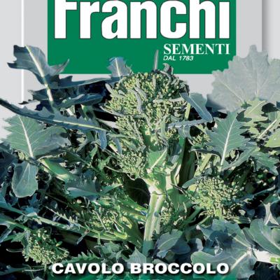 brassica-oleracea-spigariello