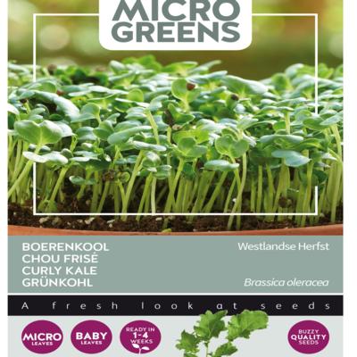 brassica-oleracea-westlandse-herfst-microgreens