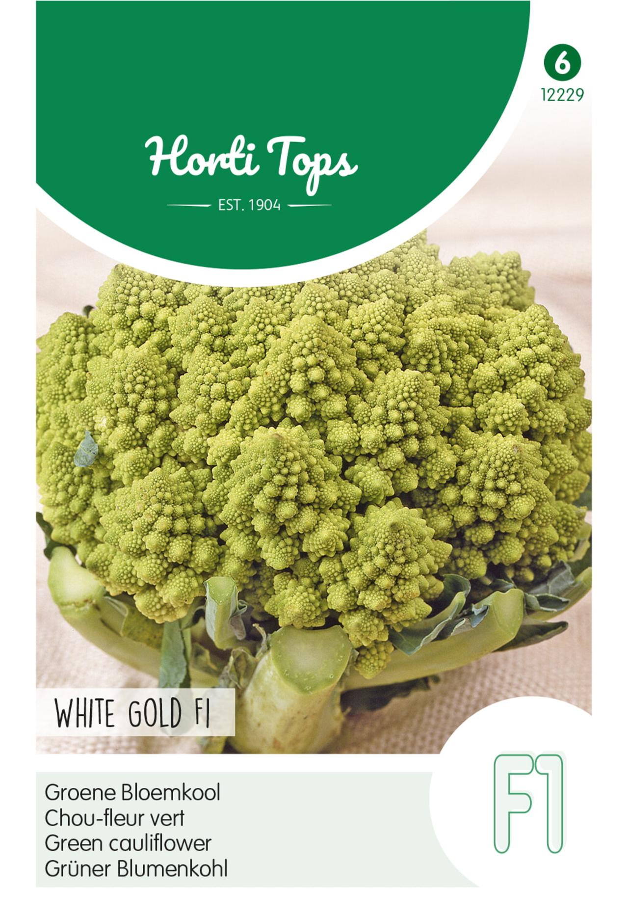 Brassica oleracea 'White Gold F1' plant