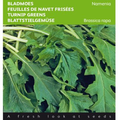 brassica-rapa-namenia