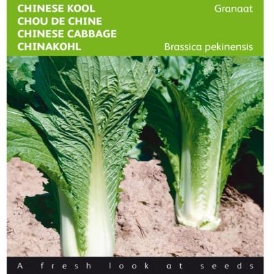 brassica-rapa-subsp-pekinensis-granaat