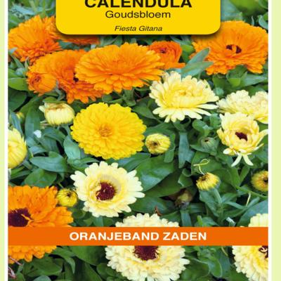 calendula-officinalis-fiesta-gitana