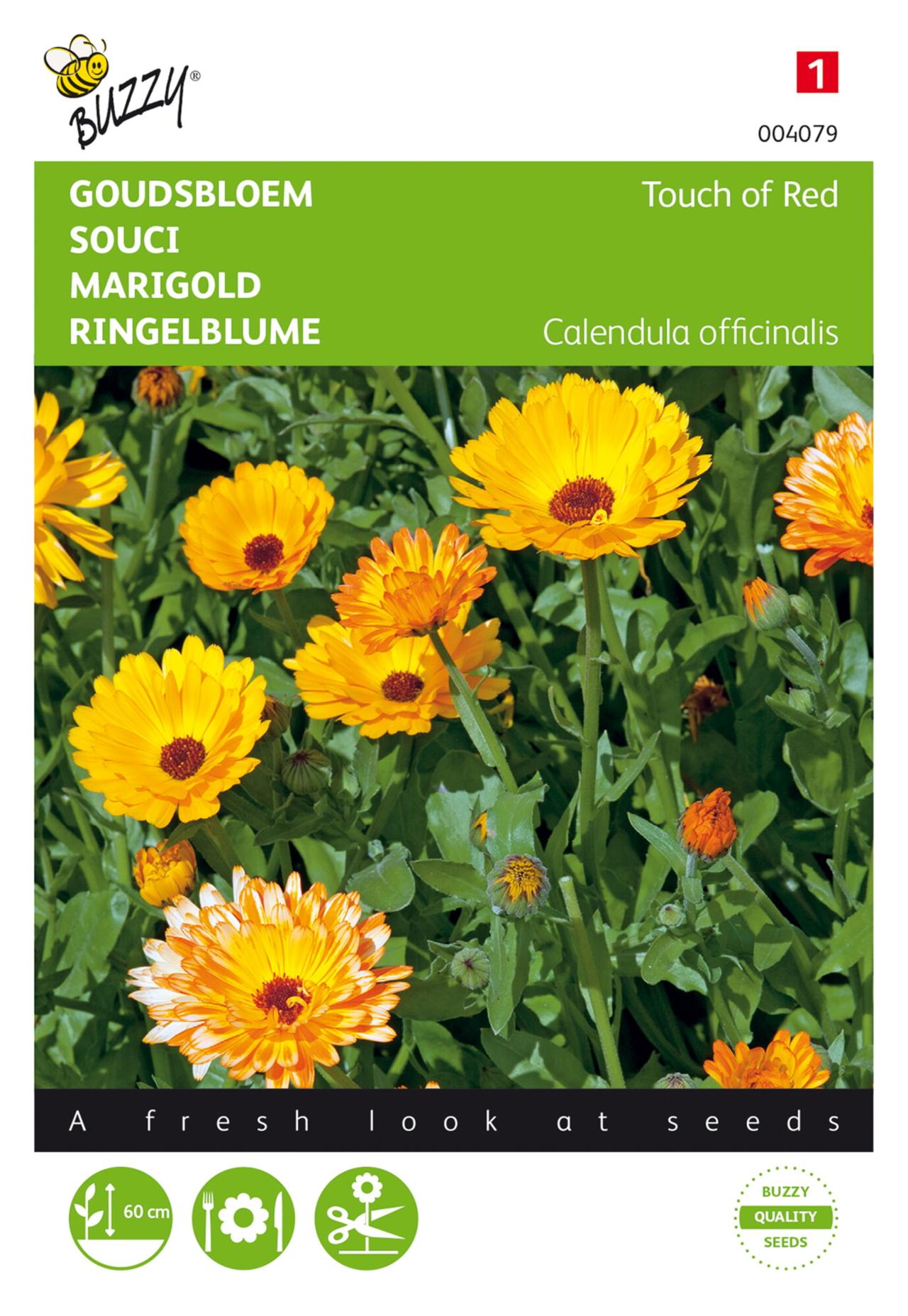 calendula-officinalis-touch-of-red Calendula officinalis 'Touch of Red' plant