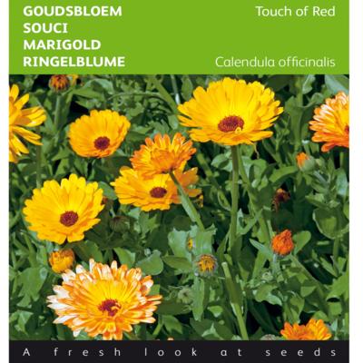 calendula-officinalis-touch-of-red