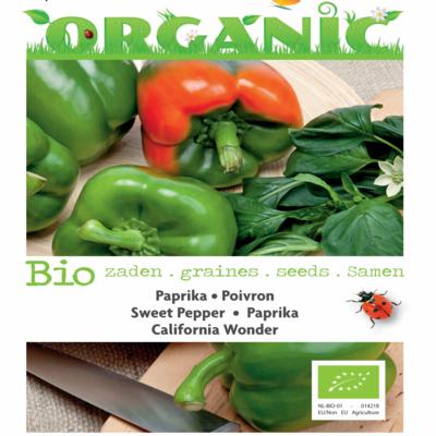 capsicum-annuum-california-wonder-bio