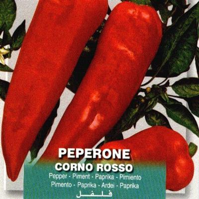 capsicum-annuum-corno-rosso