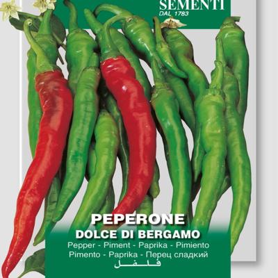 capsicum-annuum-dolce-di-bergamo