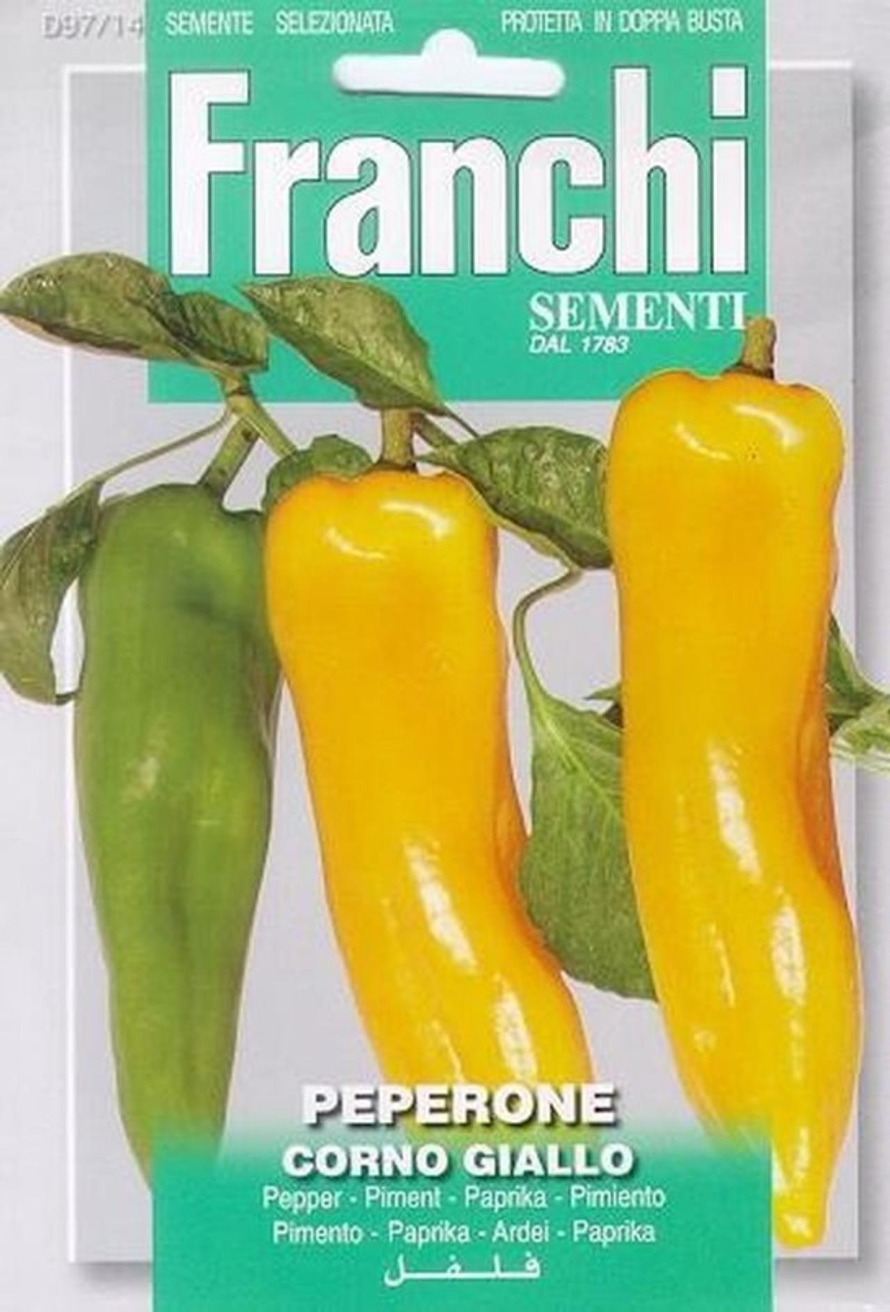 Capsicum annuum 'Dulce Corno Giallo' plant