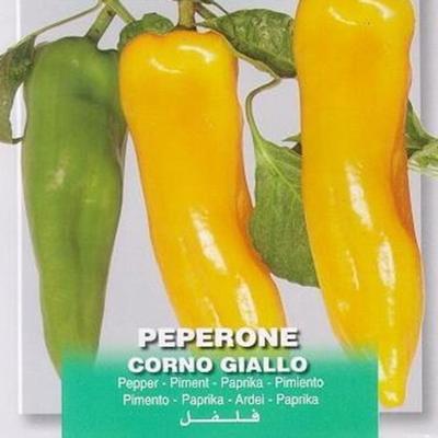 capsicum-annuum-dulce-corno-giallo