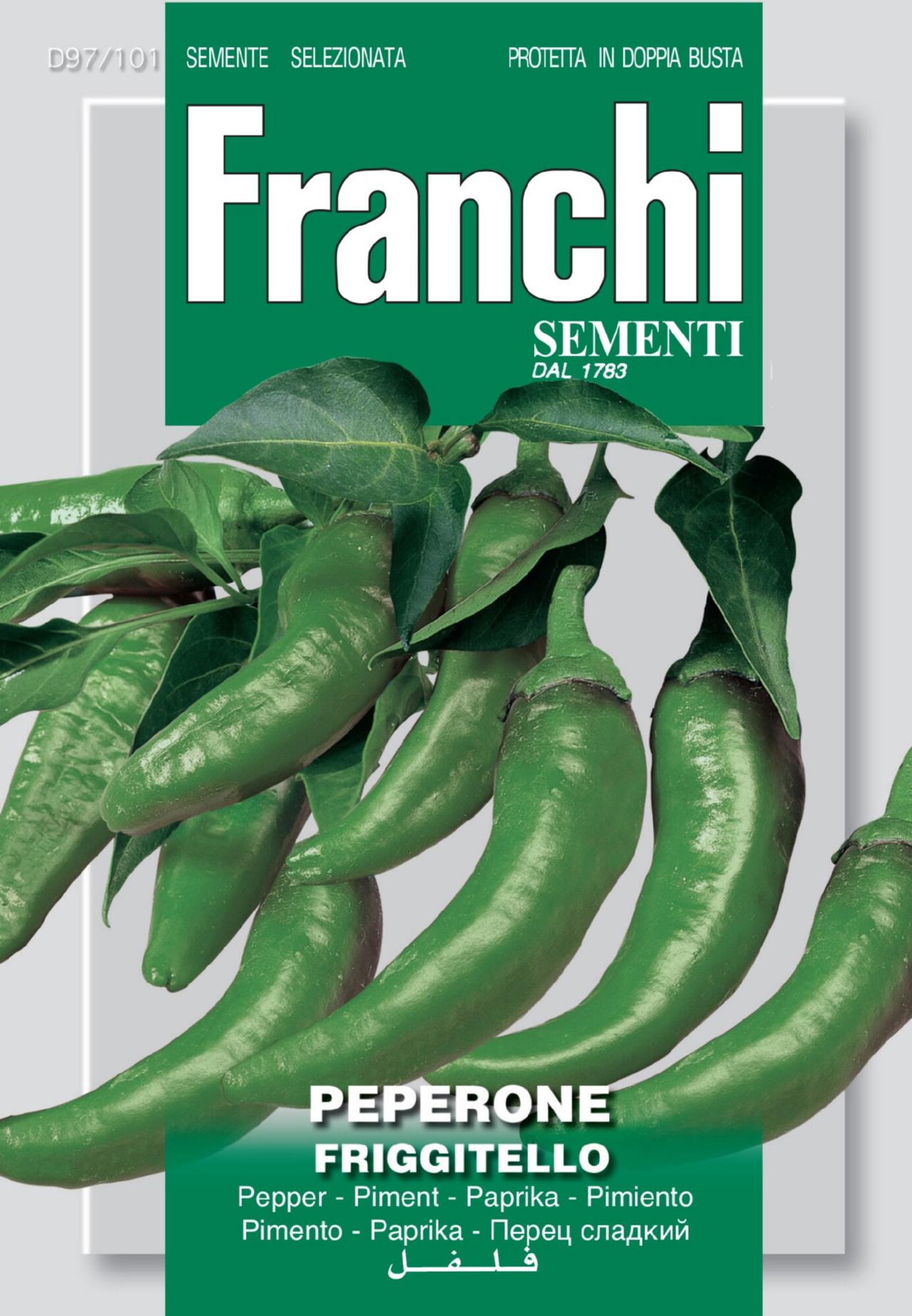 Capsicum annuum 'Frigitello' plant