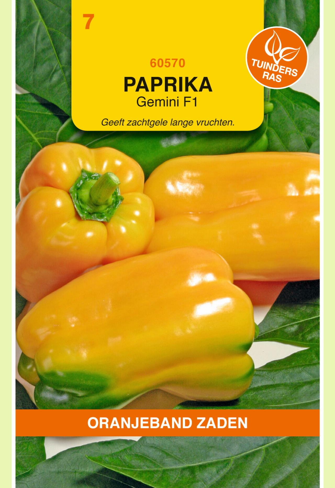 capsicum-annuum-gemini-f1 Capsicum annuum 'Gemini F1' plant