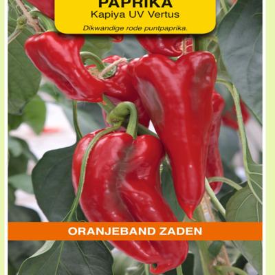 capsicum-annuum-kapiya