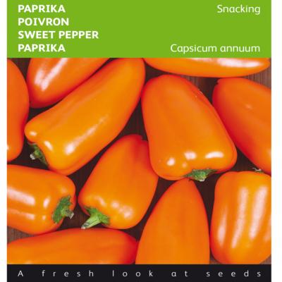 capsicum-annuum-naranja